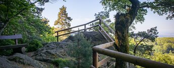 Palmfelsen Ottenhöfen – Aussichtspunkt am Felsenweg Schwarzwald