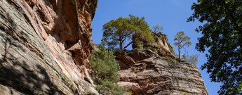 das Buntsansteinmassiv des Hochstein