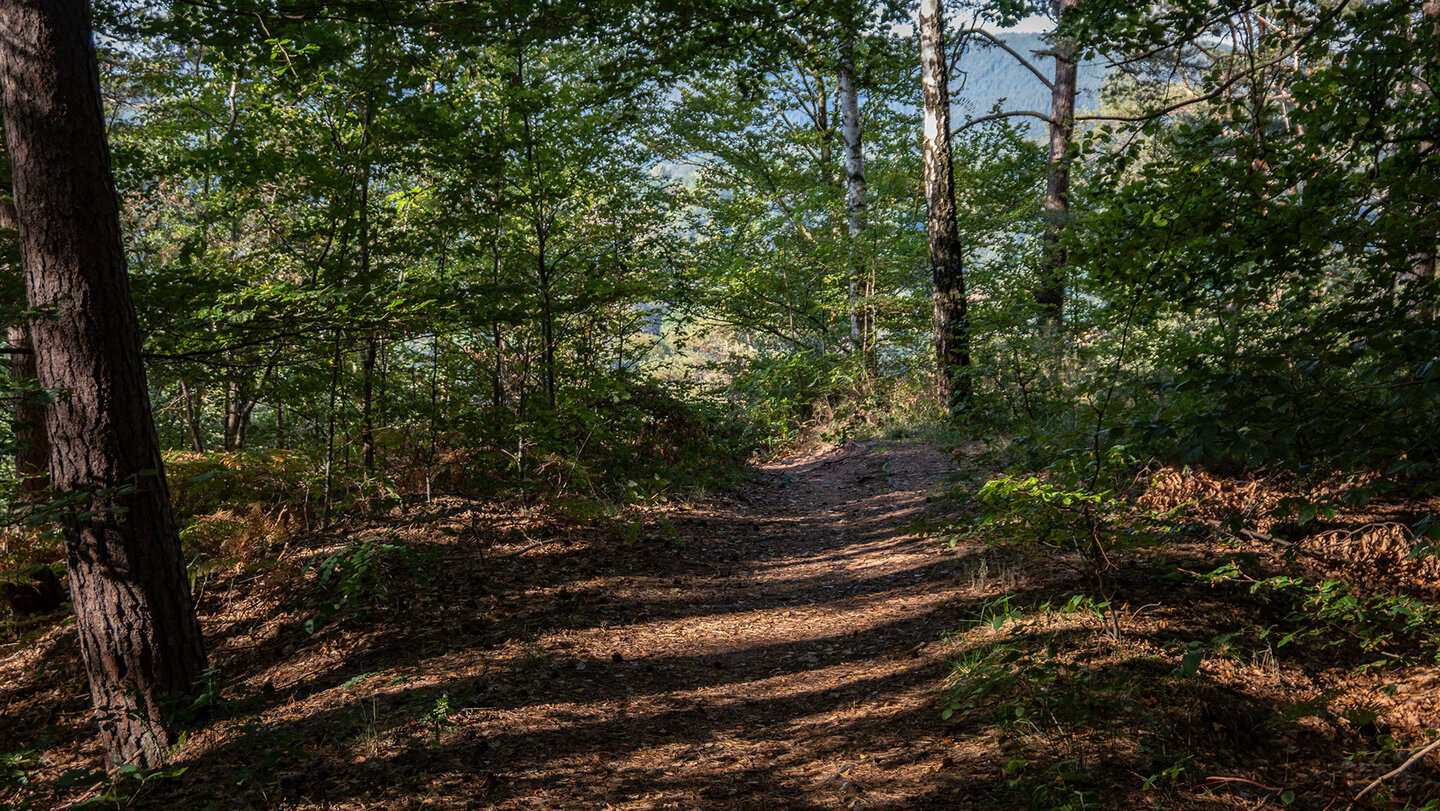 Wanderweg durch den Pfälzerwald zum Schuhfels oberhalb von Bruchweiler-Bärenbach Wanderweg zum Schuhfels bei Bruchweiler-Bärenbach