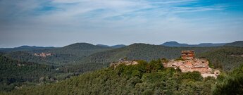 Blick auf die Burgruine Drachenfels