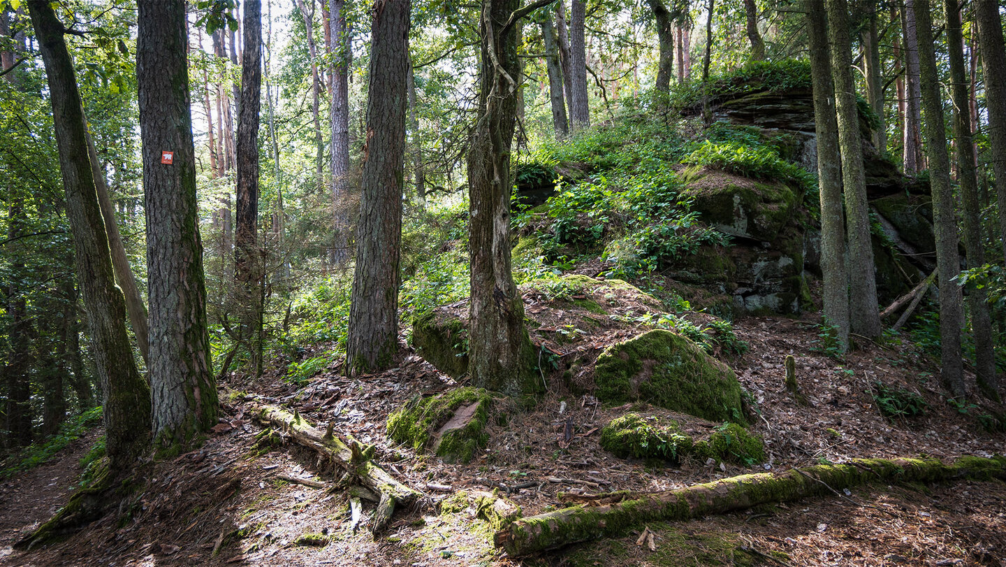 Aufstiegspfad des Bärensteigs beim Geierstein Aufstiegspfad Bruchweiler Geierstein