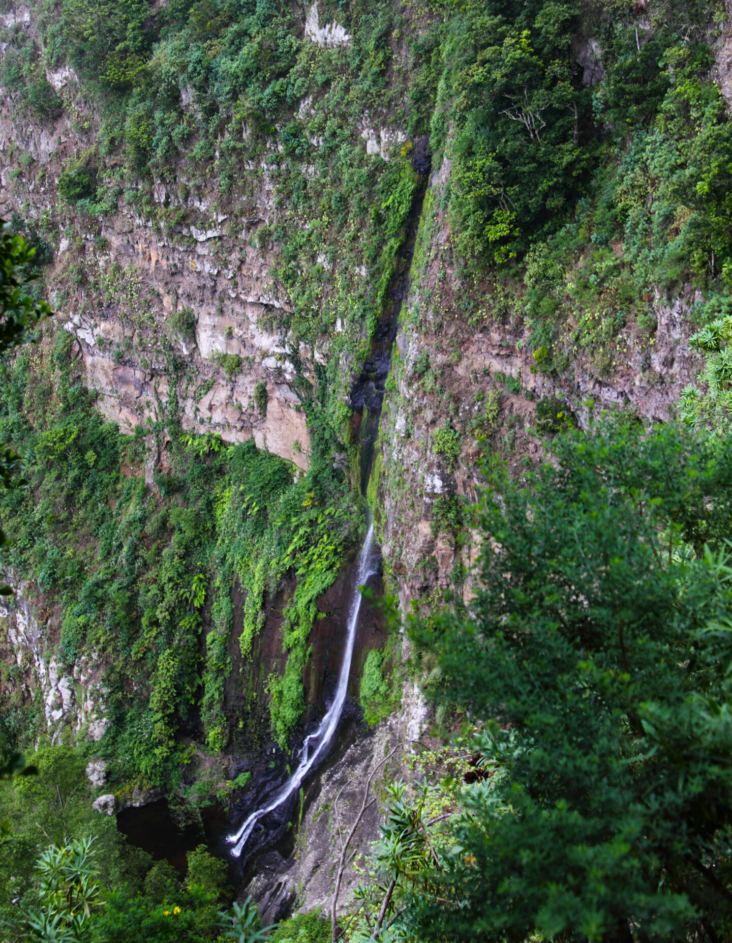 Blick auf den Wasserfall Chorro de El Cedro von der Wanderroute