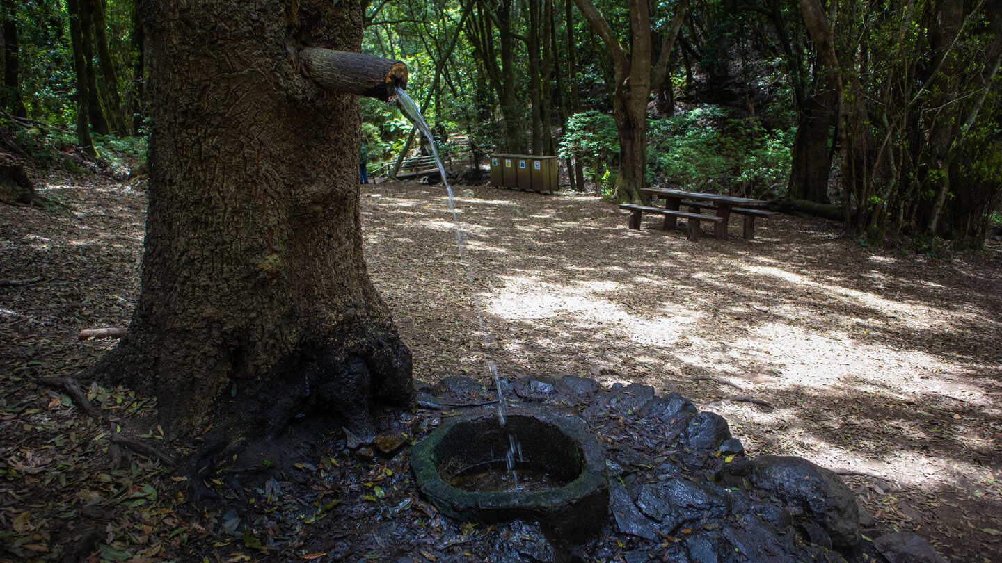 Brunnen in einem Baum am Rastplatz bei der Ermita Lourdes