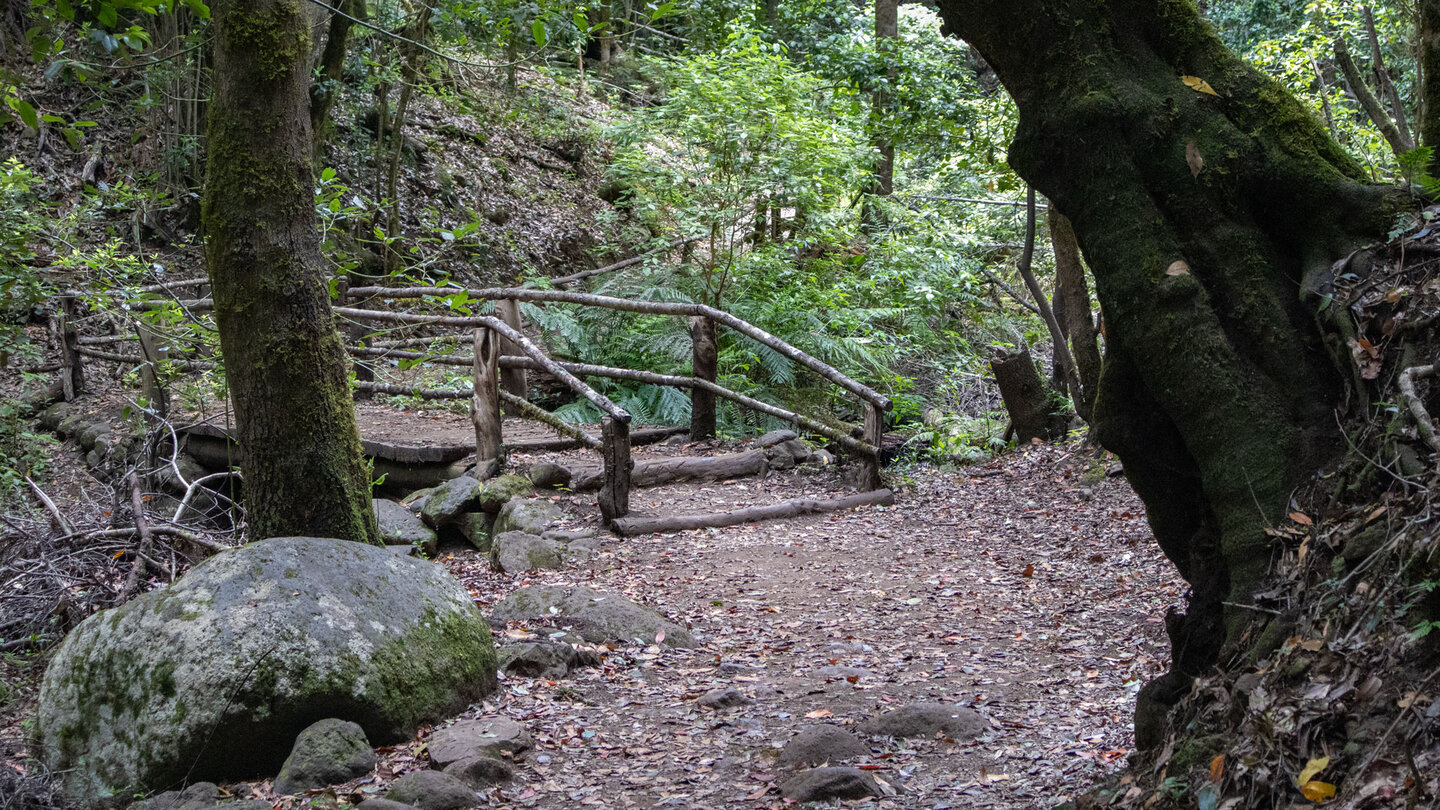 die zweite Querung des Bachlaufs El Cedro