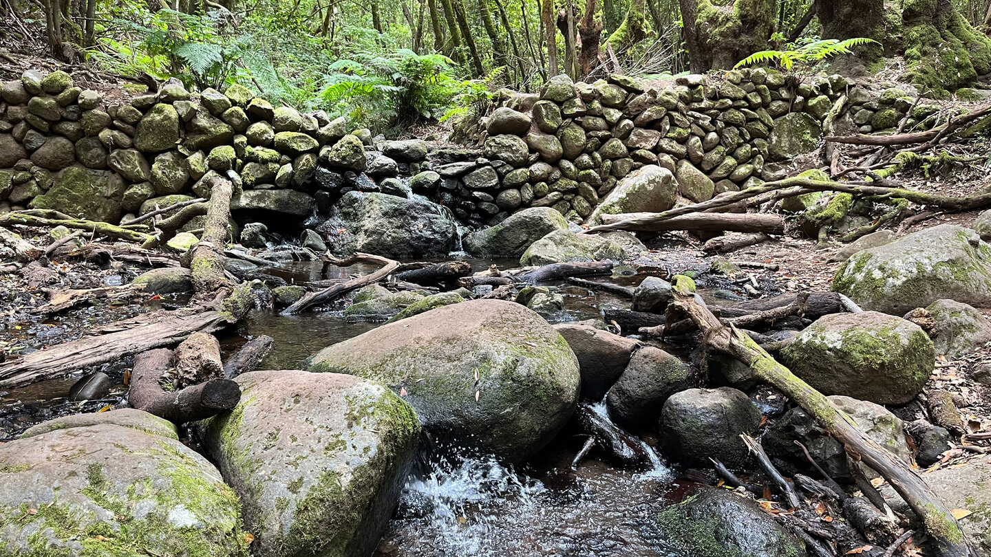 Staudamm oberhalb einer Furt am Bach El Cedro