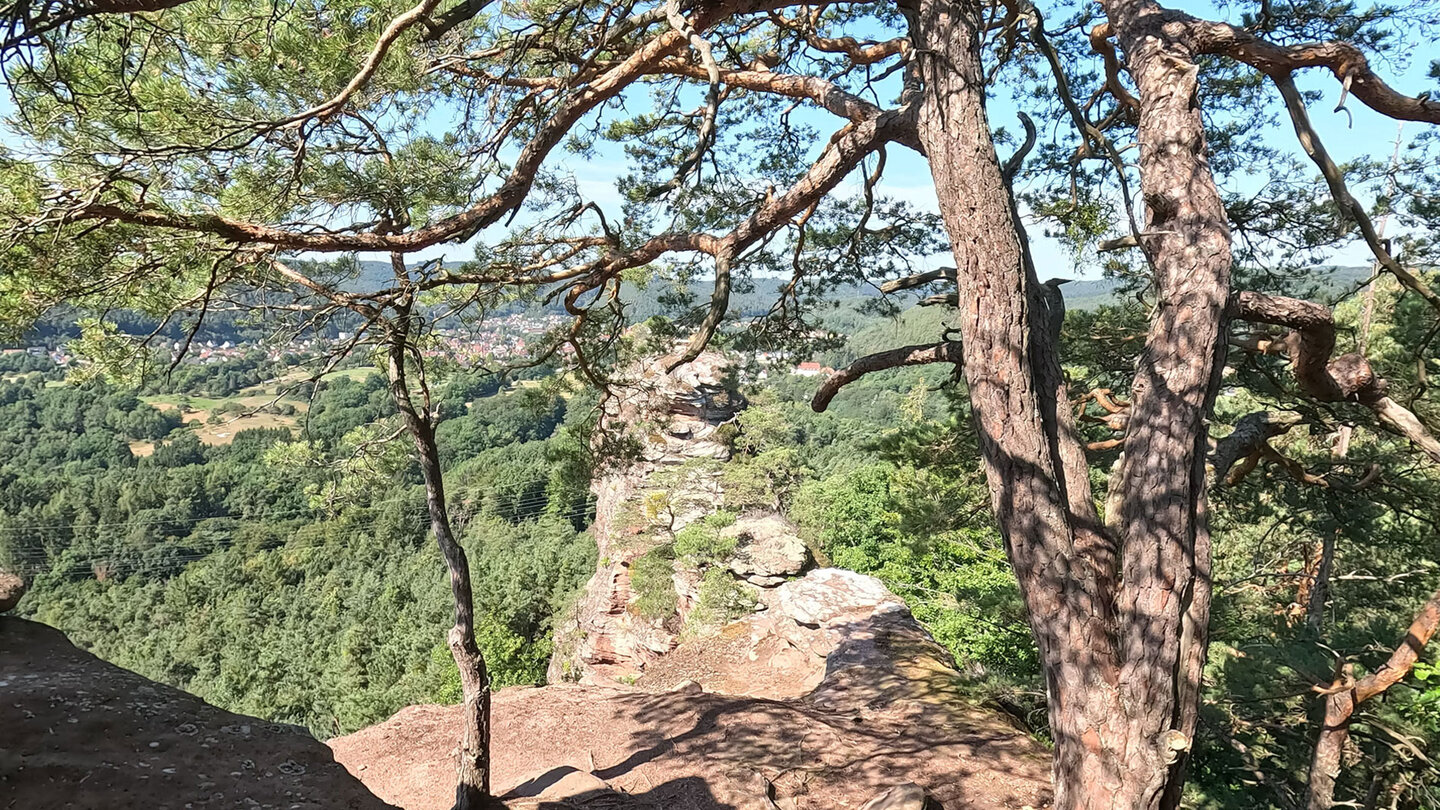 das Felsenriff des Spirkelbacher Rauhfels