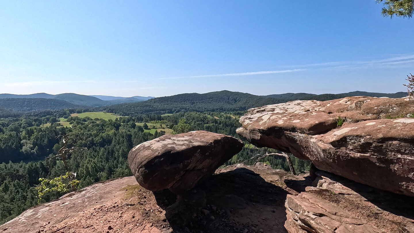 Panorama über den Pfälzerwald vom Felsplateau des Spirkelbacher Rauhfels