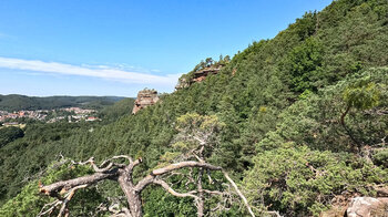Aussicht vom Rauhbergpfeiler zum Spirkelbacher Rauhfels