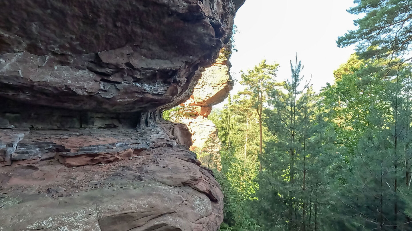 Buntsandsteinformation Spirkelbacher Rauhfels