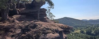 Panorama vom Felsplateau des Spirkelbacher Rauhfels