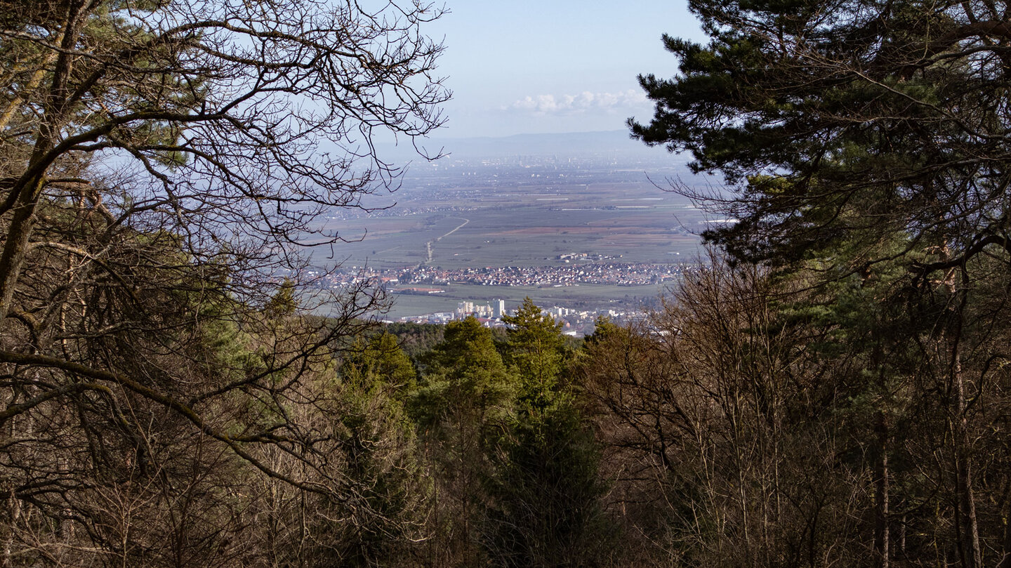 Blick vom Hohe Loog-Gipfel in die Rheinebene