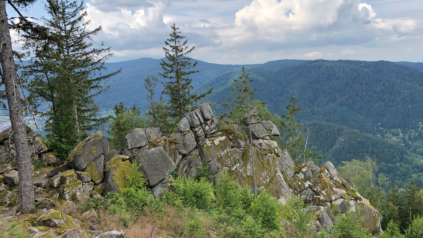 Blick von der Hohen Schaar über das Murgtal
