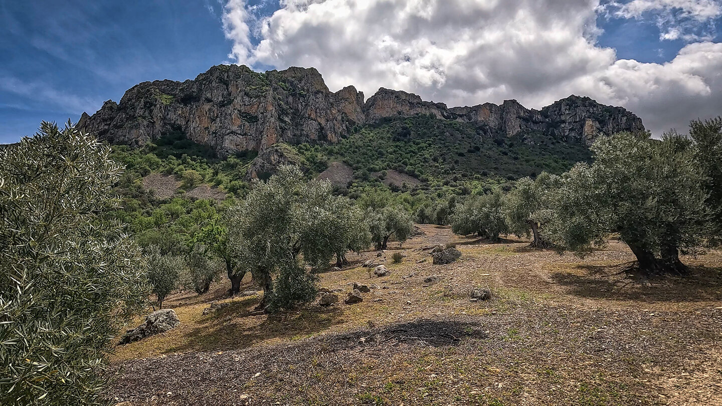 zerklüftetes Felsmassiv Torcal de Albánchez de Mágina Felsmassiv Torcal de Albánchez de Mágina