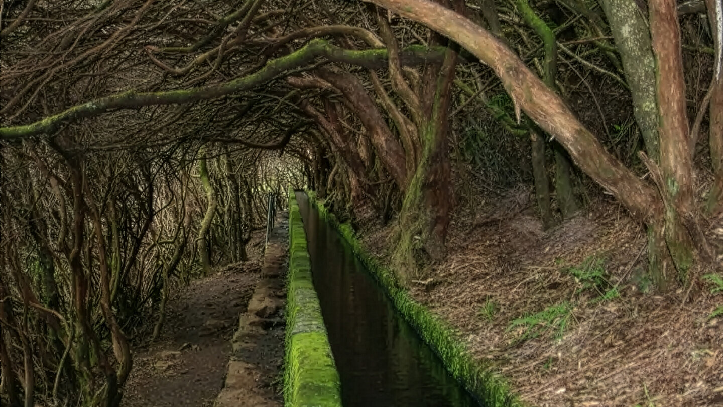 Hohlweg entlang der Levada