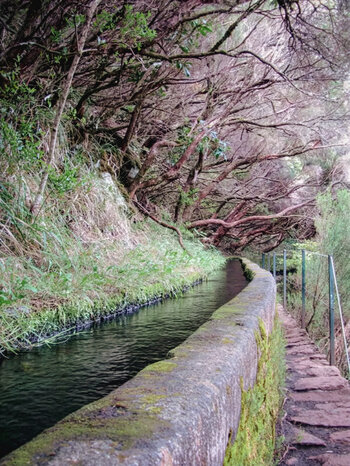 Levada da Rocha Vermelha