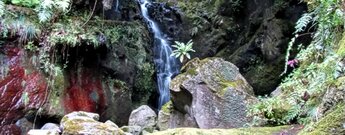 Naturlandschaft im Tal Ribeira dos Cedros