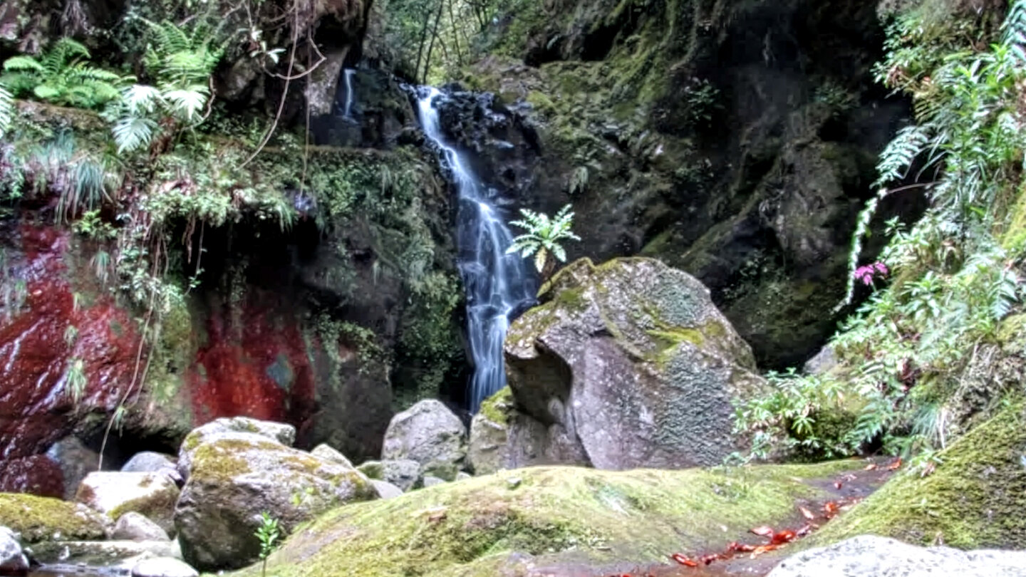 Naturlandschaft im Tal Ribeira dos Cedros