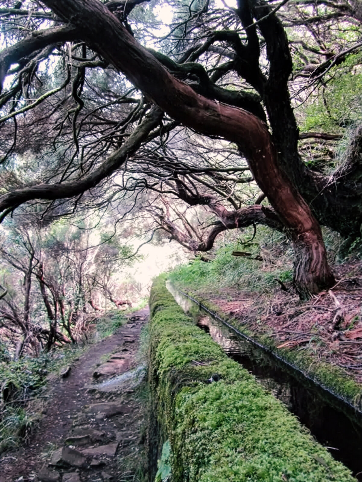 Wanderroute entlang der Levada