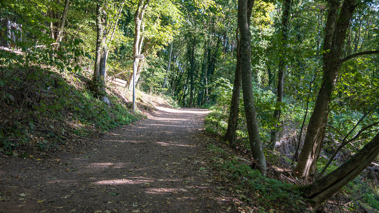 Wanderung auf dem Annweilerer Burgenweg zur Burg Trifels Wandern auf dem Annweilerer Burgenweg zur Burg Trifels