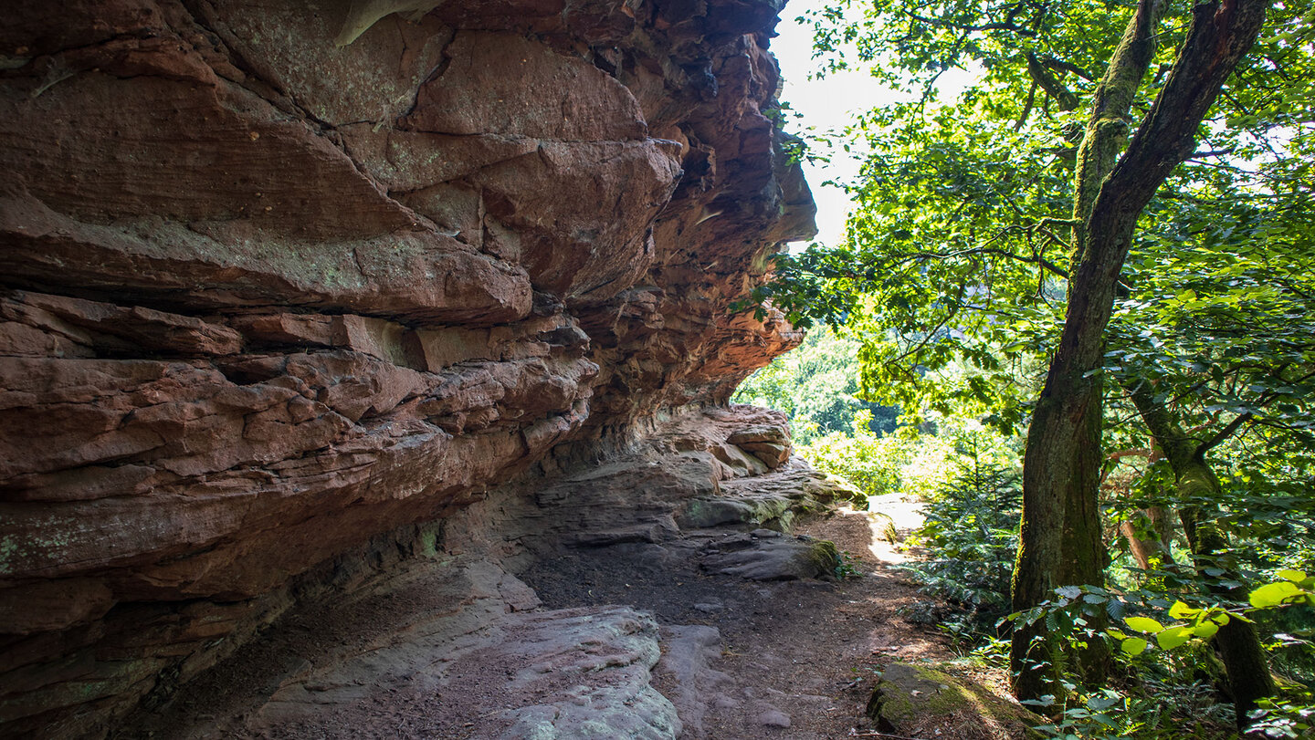 der idyllische Wanderpfad schlängelt sich entlang der Buntsandsteinfelsen bei Annweiler am Trifels der Wanderpfad schlängelt sich entlang der Buntsandsteinfelsen bei Annweiler am Trifels