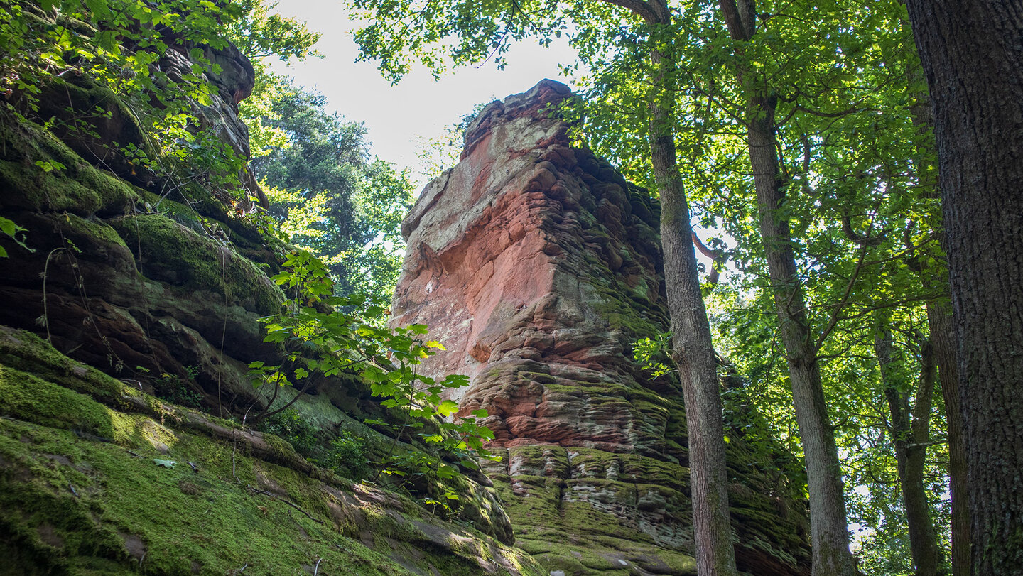 der Sandsteinfels Bindersbacher Turm am Annweilerer Burgenweg der Bindersbacher Turm am Annweilerer Burgenweg
