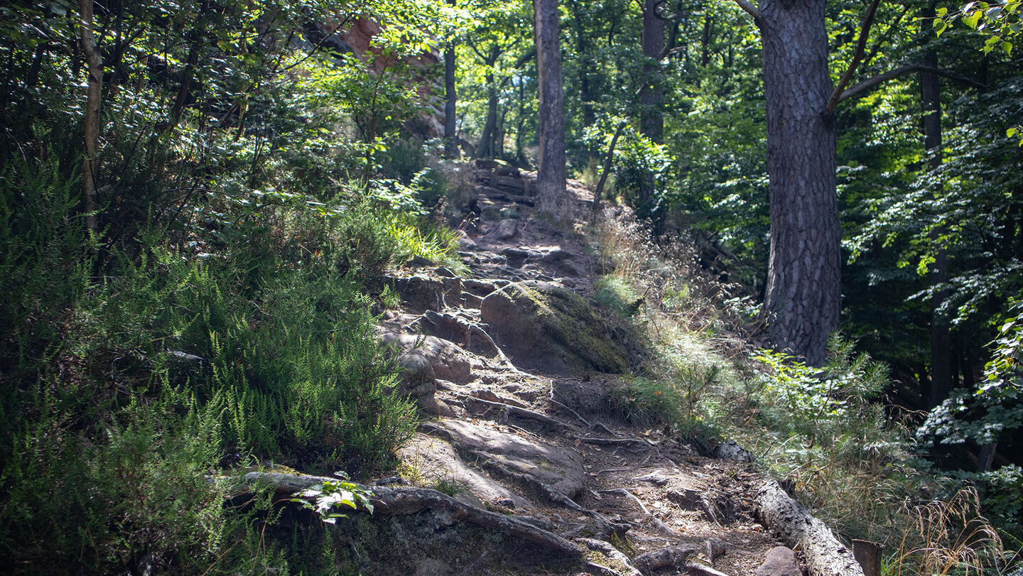 Wanderroute auf dem Felsenpfad am Jungturm bei Annweiler Felsenpfad am Jungturm bei Annweiler