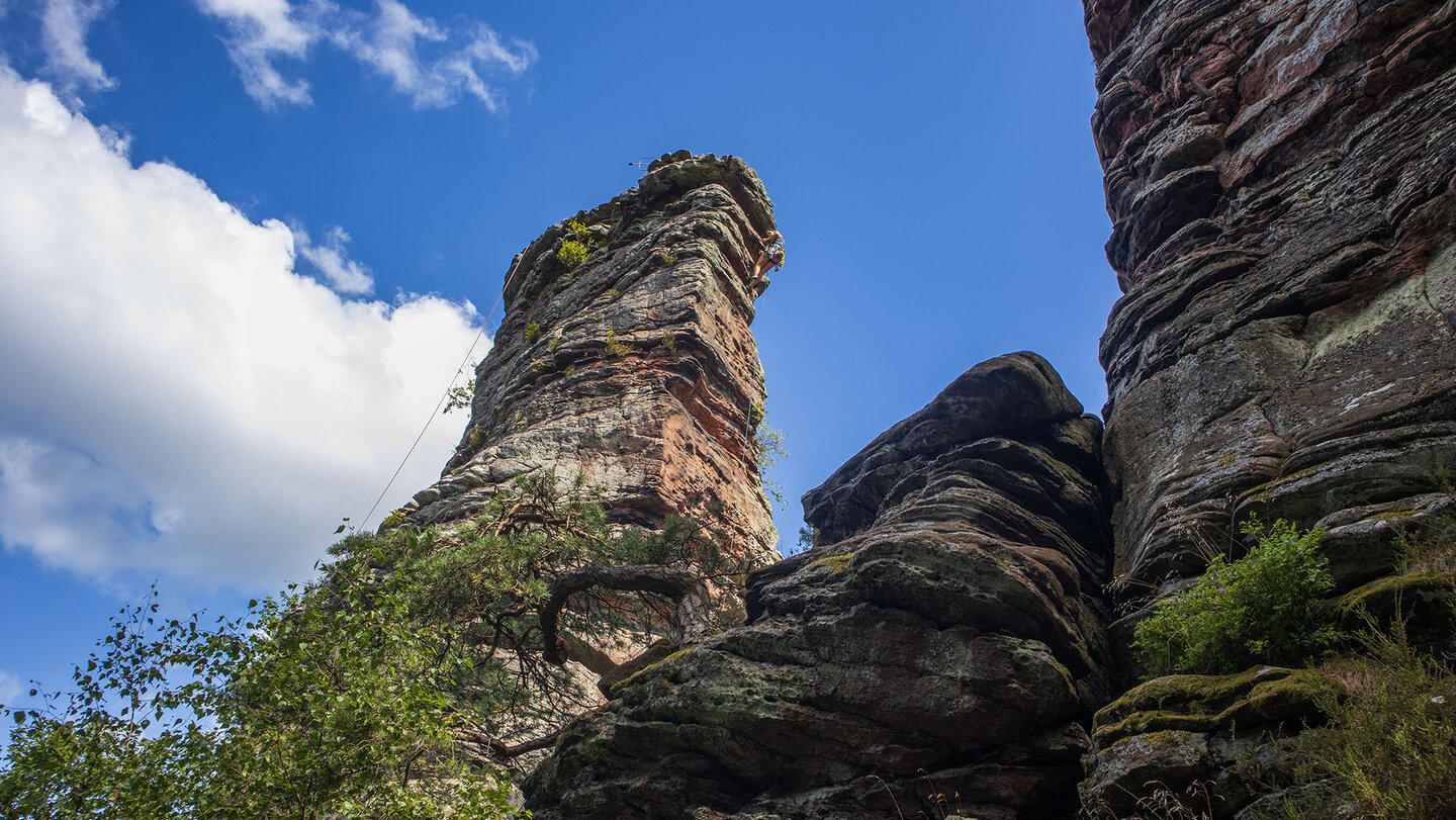 Blick auf den Jungturm vom Annweilerer Burgenweg der Jungturm am Annweilerer Burgenweg