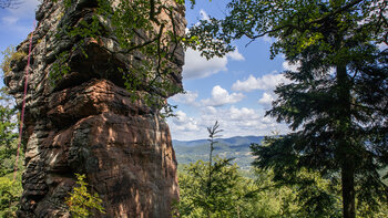 Steilwände am Münzfels bei Annweiler