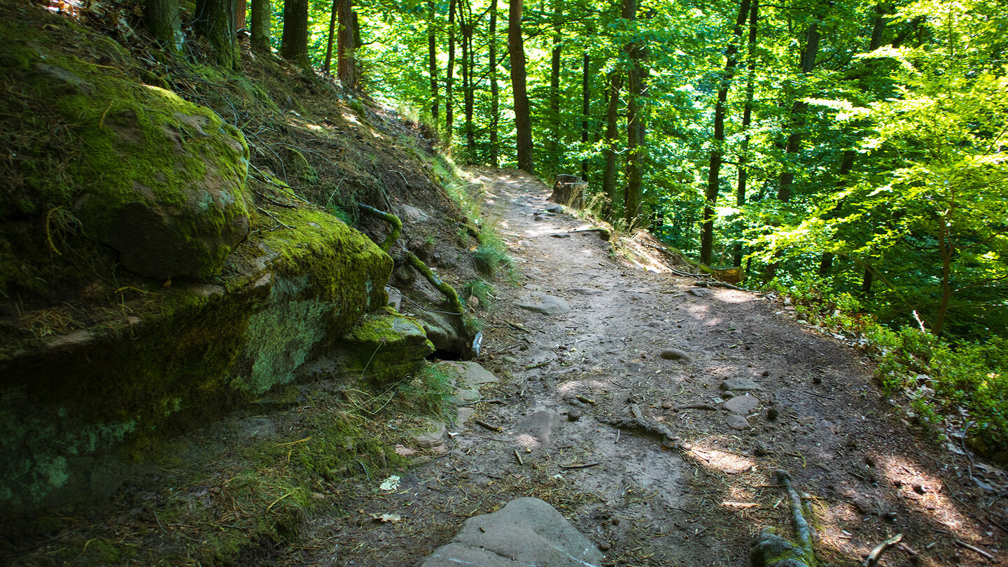 malerische Wanderpfade zwischen den Burgen der Trifelsgruppe bei der Stadt Annweiler am Trifels Wanderpfad zwischen den Burgen der Trifelsgruppe bei der Stadt Annweiler am Trifels