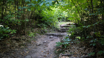 Wanderweg zum Asselstein