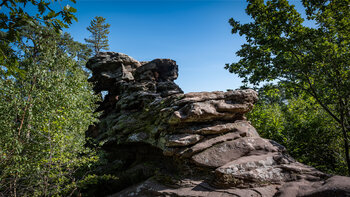 Buntsandsteinfelsen Asselstein im Pfälzerwald
