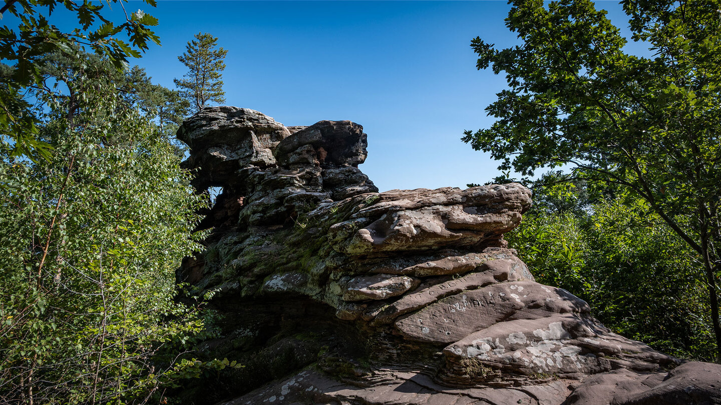 Buntsandsteinfelsen Asselstein im Pfälzerwald Buntsandsteinfelsen Asselstein im Pfälzerwald
