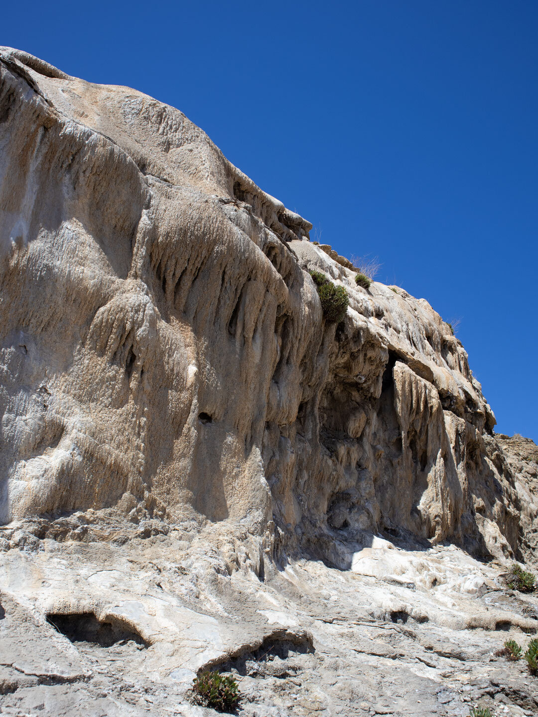 Vegetation bei der Cascada del Sal in der Wüste von Tabernas