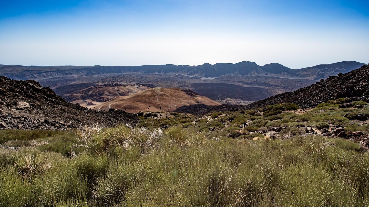 Ausblick über Ginsterbüsche auf den Moñtana Blanca und die Caldera Las Cañadas