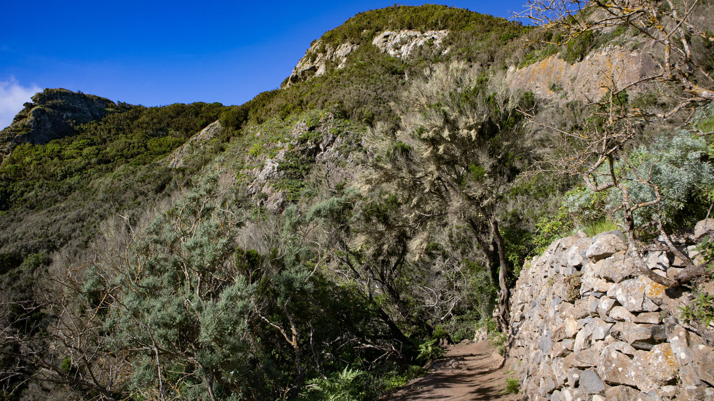traditioneller Wanderweg im Anaga-Gebirge mit Schichtmauern