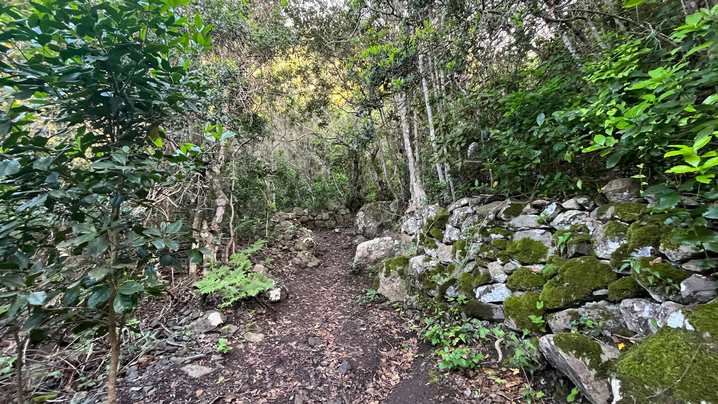 Wanderweg beim Aufstieg zum Cruz del Draguilo