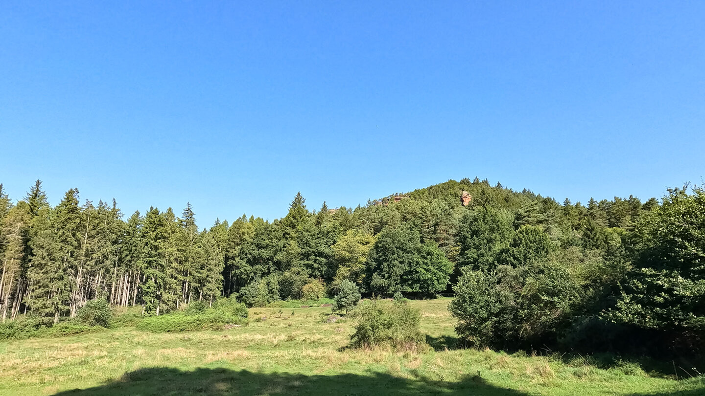 Spirkelbacher Rauhfels und Rauhbergpfeiler am Kleinen Rauhberg Spirkelbacher Rauhfels und Rauhbergpfeiler