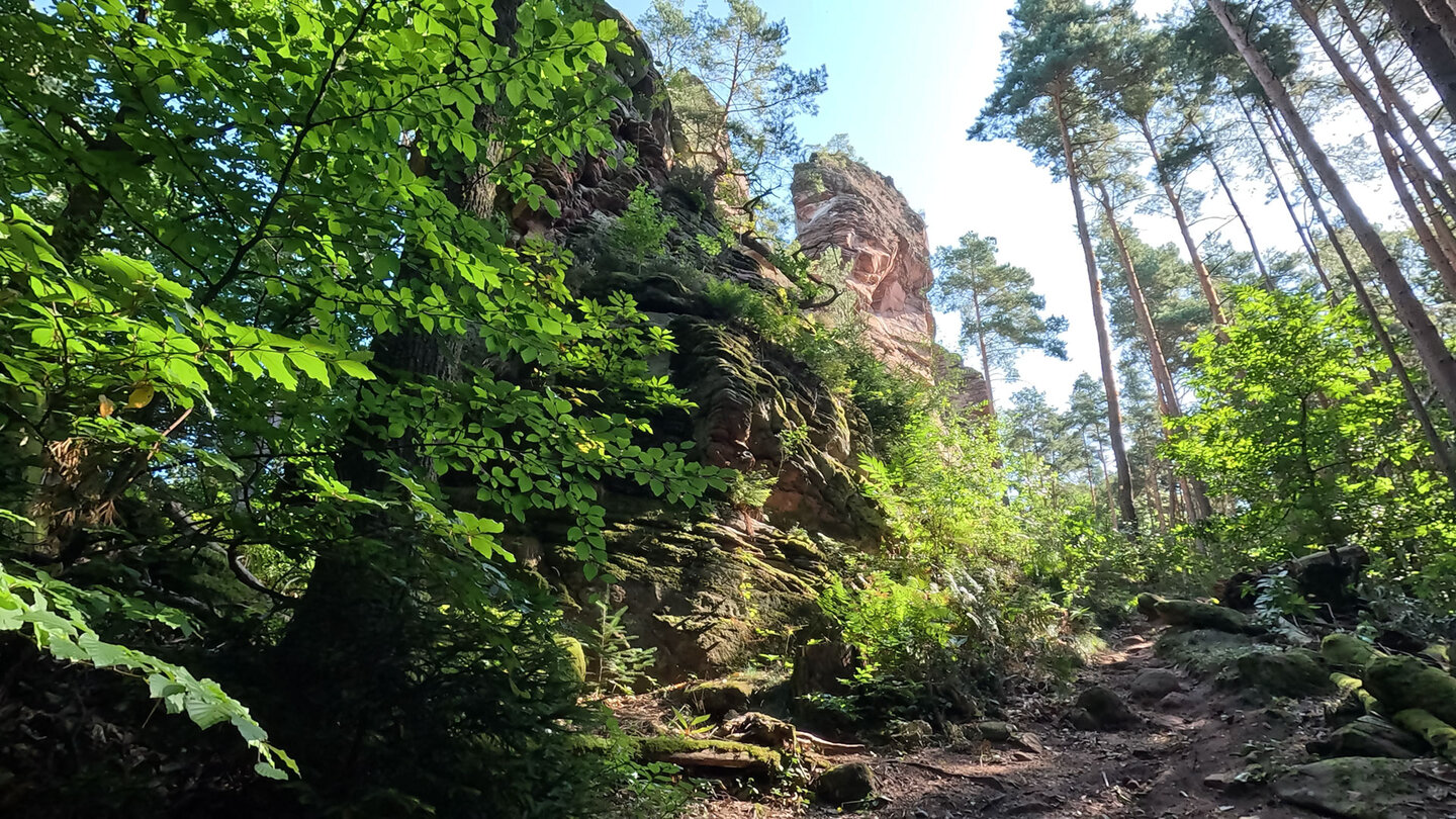 der Otto-Wendel-Turm am Spirkelbacher Rauhfels Otto-Wendel-Turm am Spirkelbacher Rauhfels