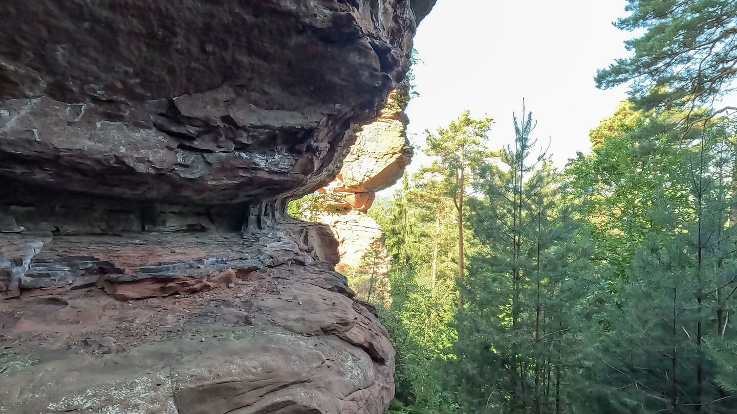 Blick entlang der Buntsandsteinformation Spirkelbacher Rauhfels Buntsandsteinformation Spirkelbacher Rauhfels