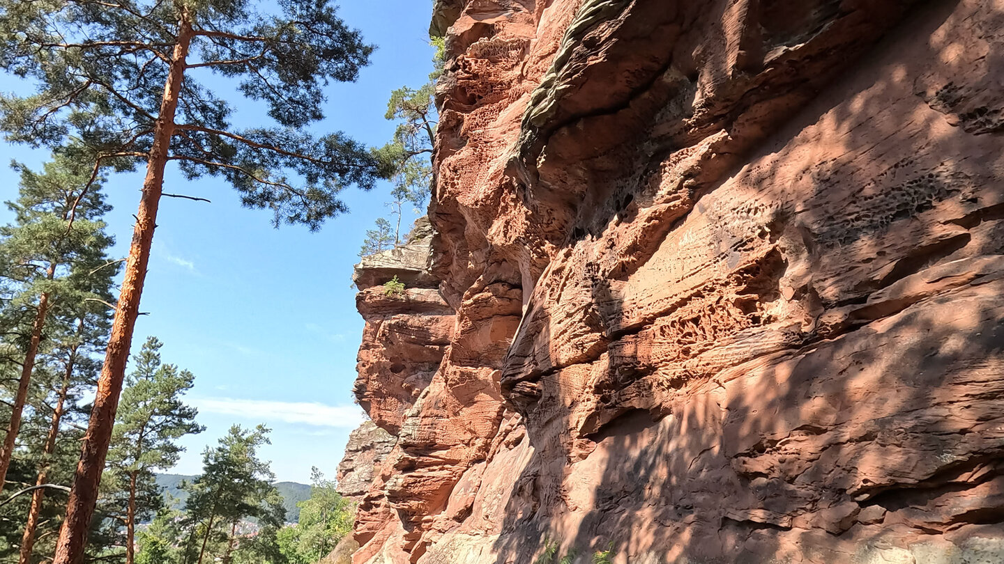 die verwitterten Felswände am Spirkelbacher Rauhfels Felswände am Spirkelbacher Rauhfels