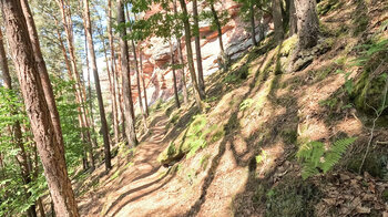 Spirkelbacher Rauberg-Tour