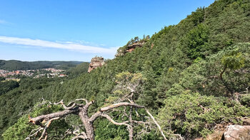 Blick vom Rauhbergpfeiler zum Spirkelbacher Rauhfels