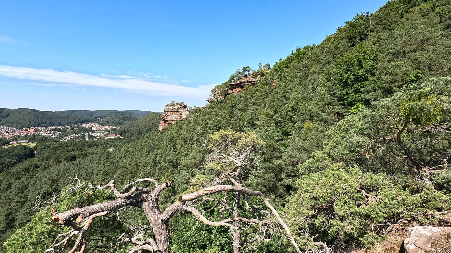 Blick vom Rauhbergpfeiler zum Spirkelbacher Rauhfels und auf Hauhenstein Blick vom Rauhbergpfeiler zum Spirkelbacher Rauhfels