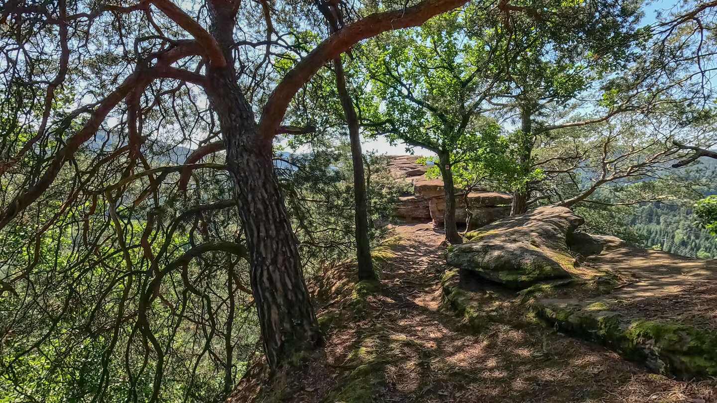 Wanderpfad am Rauhbergpfeiler Wanderpfad am Rauhbergpfeiler