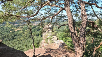 Felsenriff des Spirkelbacher Rauhfels