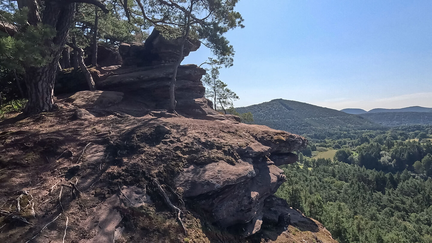 Panorama über den Pfälzerwald vom Buntsandsteinriff Spirkelbacher Rauhfels Buntsandsteinriff Spirkelbacher Rauhfels