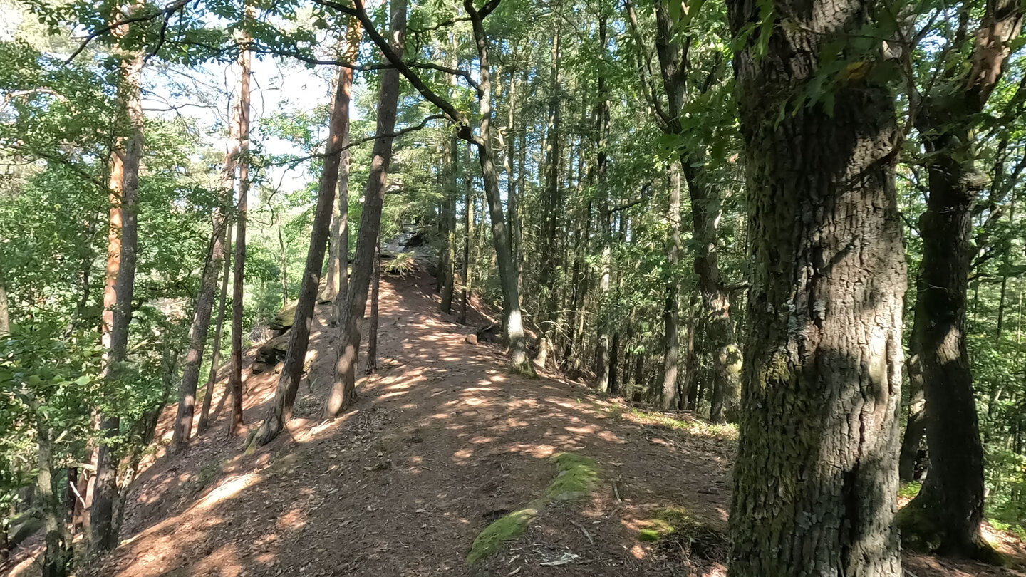 Kammwanderweg zum Krappenfels Kammwanderweg zum Krappenfels