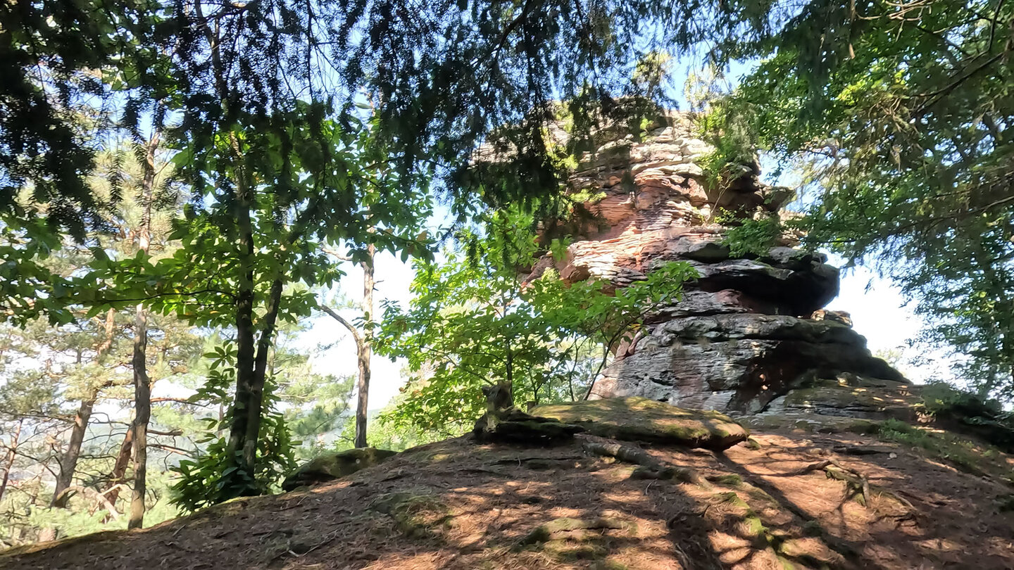 der Krappenfels am Kleinen Rauhberg bei Spirkelbach der Krappenfels bei Spirkelbach