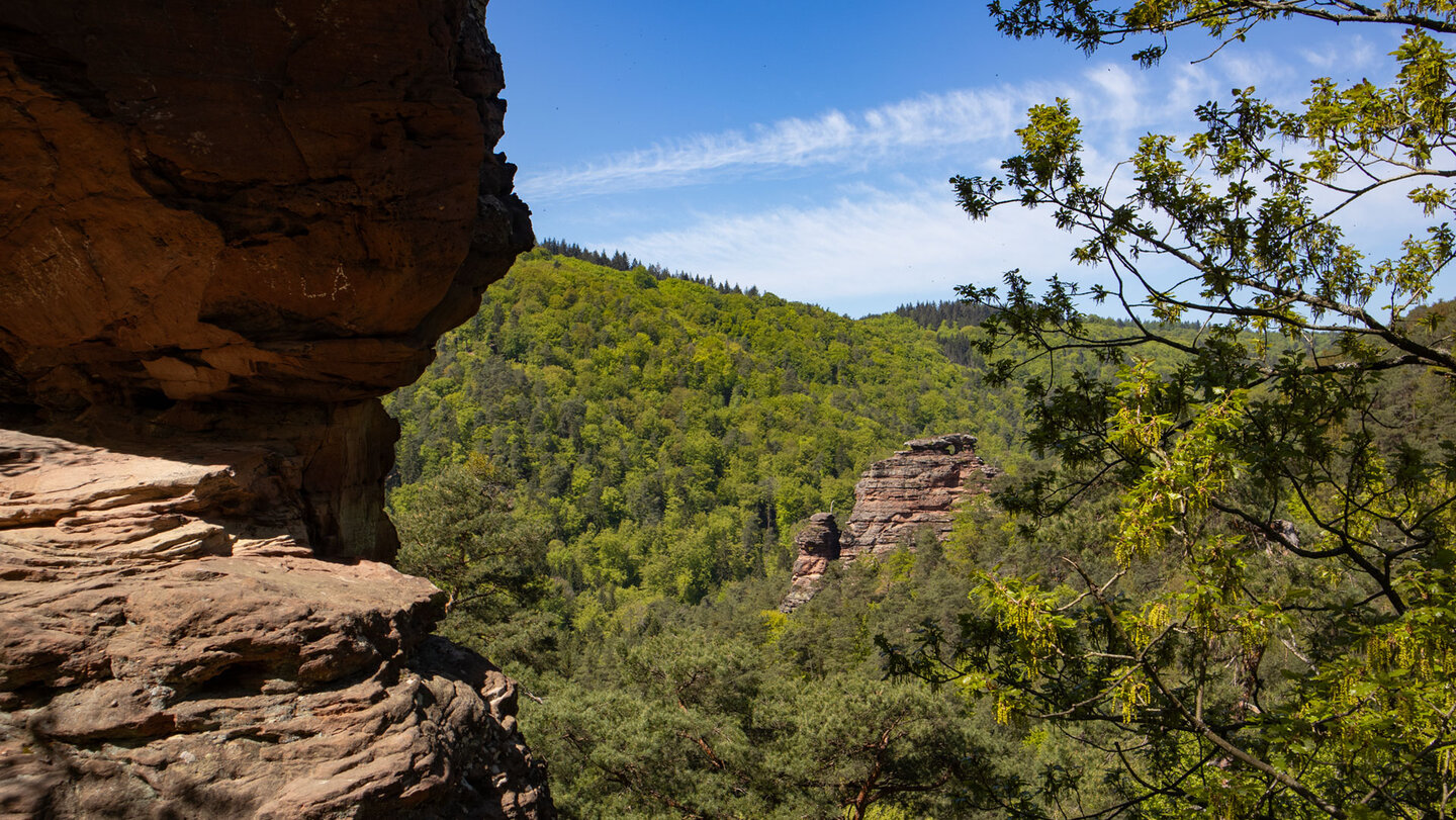 Blick auf die Stephanstürme vom Wolfsfelsen
