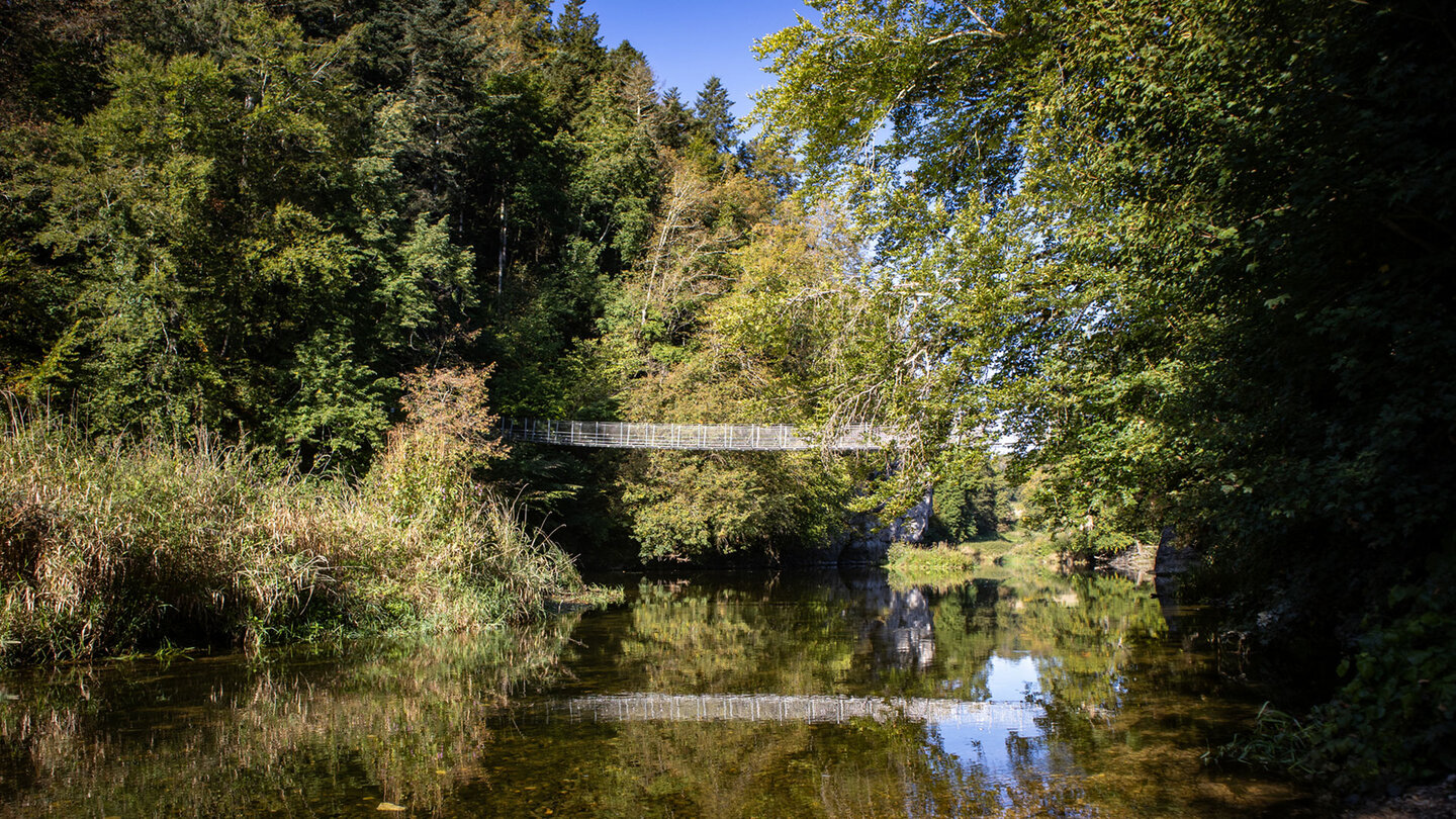 die Hängebrücke verbindet die Parkteile im Fürstlichen Park Inzigkofen